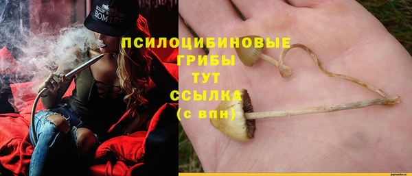 ешки Богородск