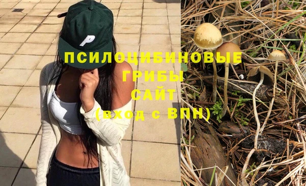эйфоретик Бикин