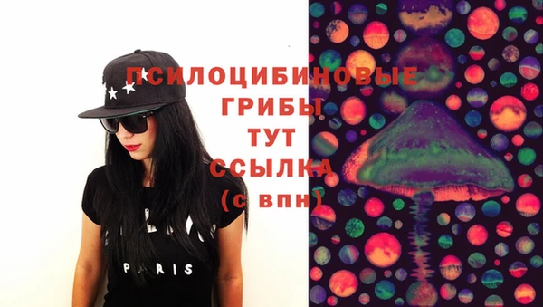 ПСИЛОЦИБИНОВЫЕ ГРИБЫ Бородино