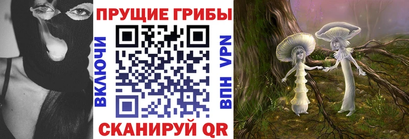 хочу наркоту  Демидов  Псилоцибиновые грибы Psilocybe 